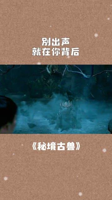 88影视